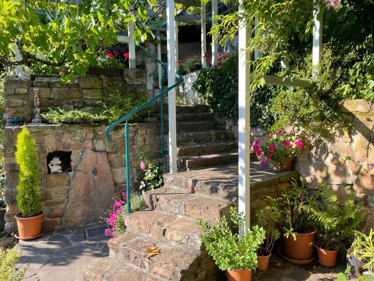 Am Berggarten Heidelberg Eksteriør bilde