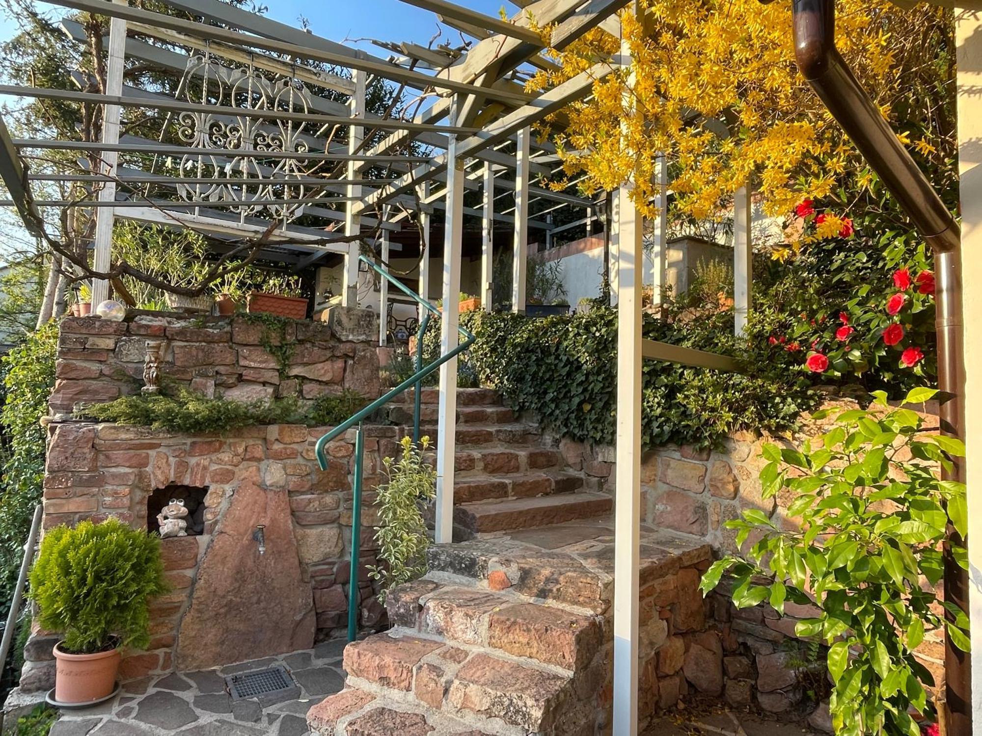 Am Berggarten Heidelberg Eksteriør bilde