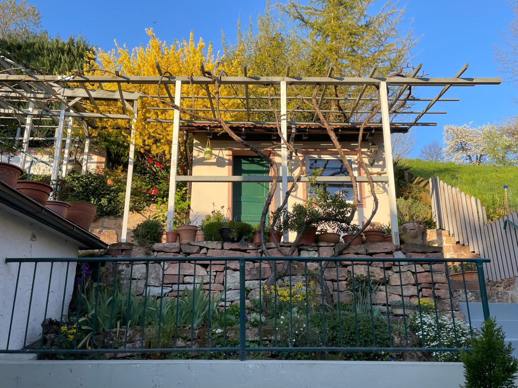 Am Berggarten Heidelberg Eksteriør bilde