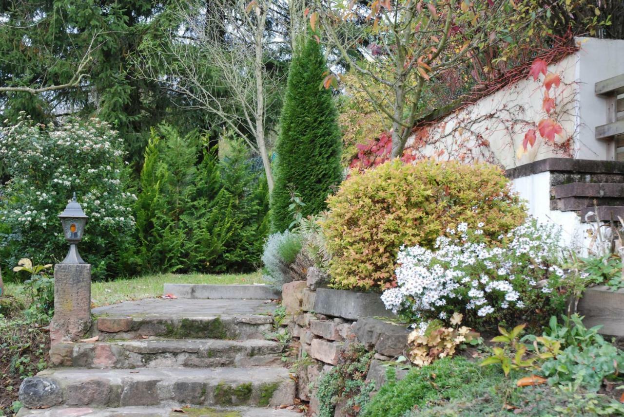 Am Berggarten Heidelberg Eksteriør bilde