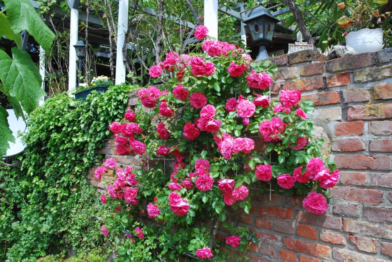 Am Berggarten Heidelberg Eksteriør bilde